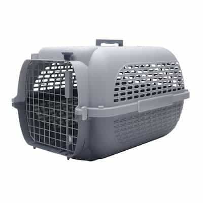 best plastic dog crate