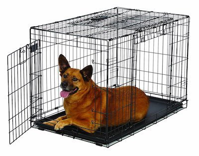 large breed dog kennels