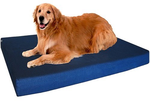 best budget dog bed