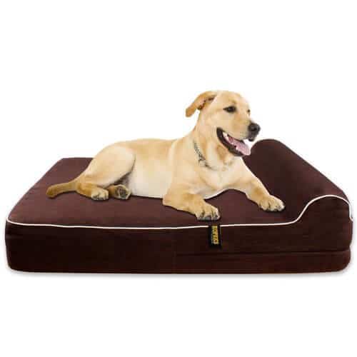 thick orthopedic dog bed