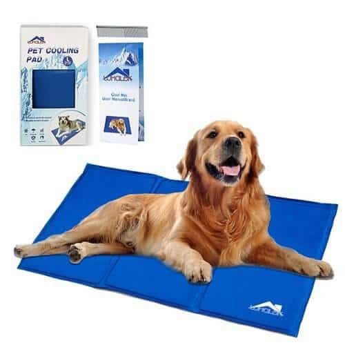 cooling water bed for dogs