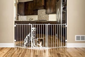 best walk through pet gate