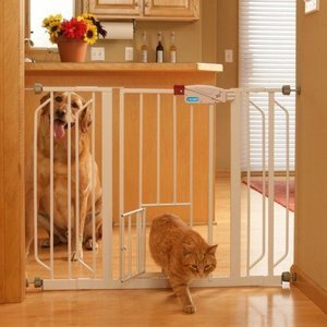 pet friendly baby gate