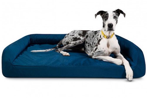 firm orthopedic dog bed