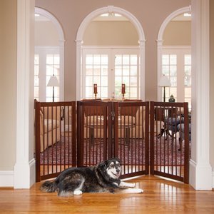 The 25 Best Indoor Dog Gates Of 2020 Pet Life Today