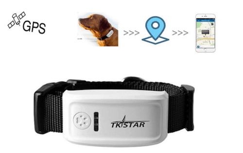 small dog gps tracker