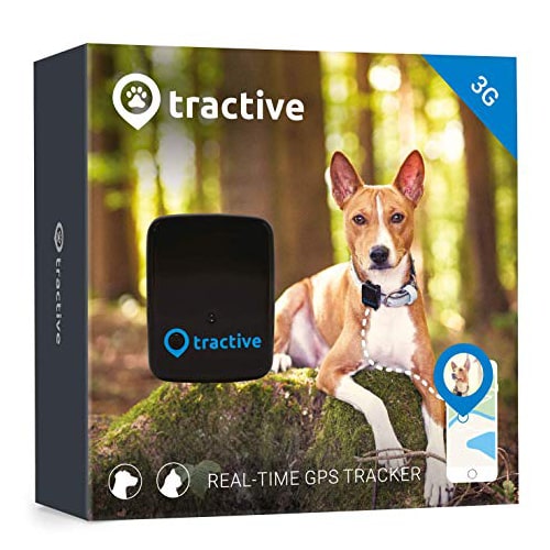 cell phone dog tracker