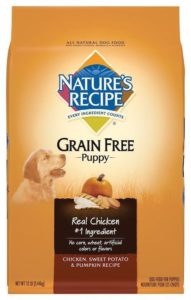 gluten free dog food brands