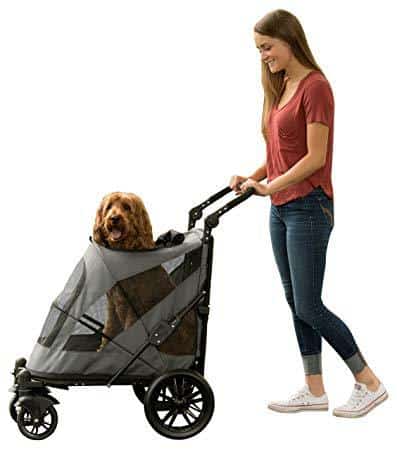 dog buggy for large dogs