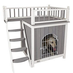small dog kennel