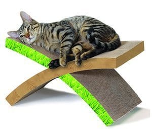 best cardboard cat scratcher