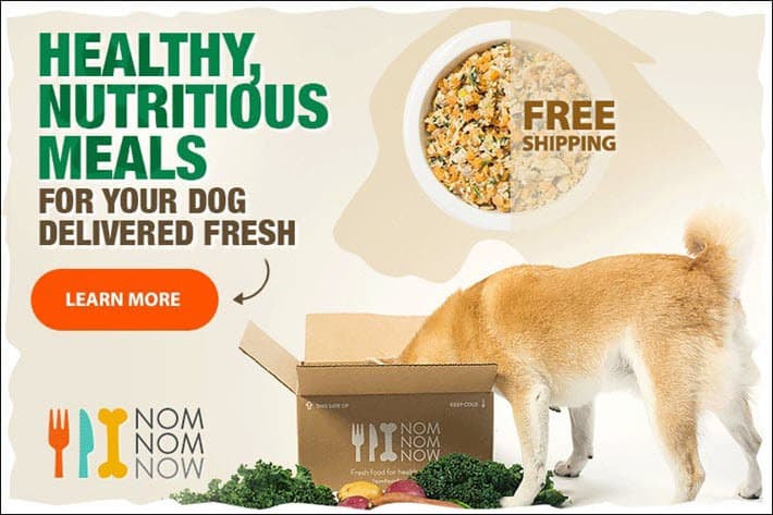 free dog food delivery