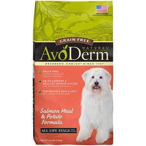 dog food for dogs with allergies