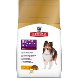 best dog kibble for skin allergies