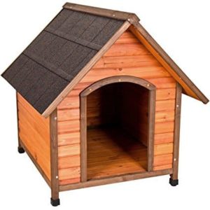 best dog house for large dogs