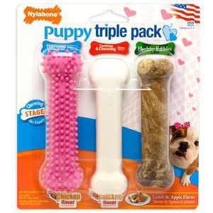 Nylabone Puppy Starter Packs Puppy Chew Toys
