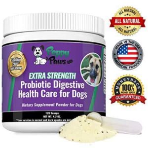 top rated probiotics for dogs