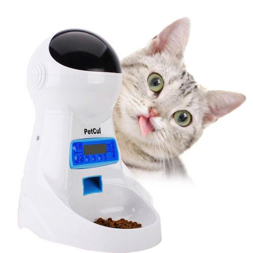 timed cat food dispenser