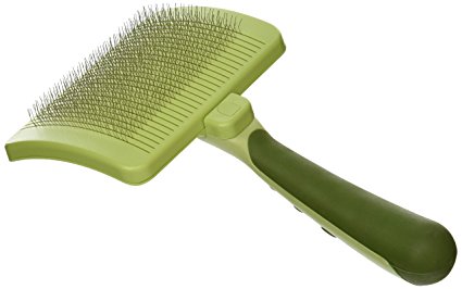 shedding comb for dogs