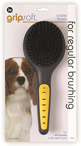 best bristle brush for dogs