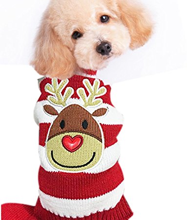 cute dog christmas outfits