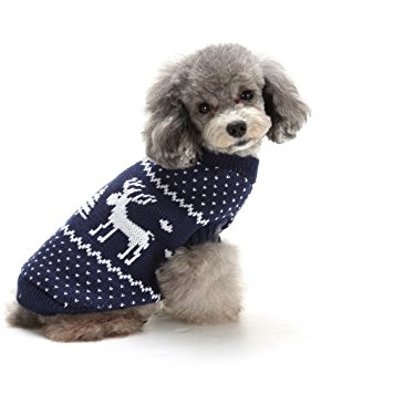 dog holiday sweaters