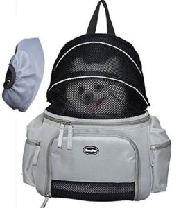 best dog carrier backpack for hiking