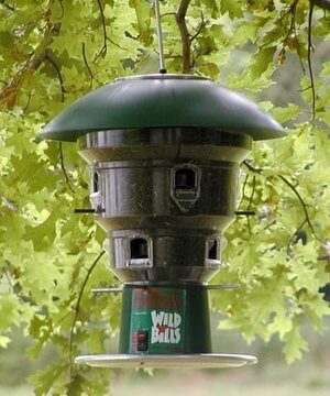 The 50 Best Squirrel Proof Wild Bird Feeders Of 2020 Pet Life Today