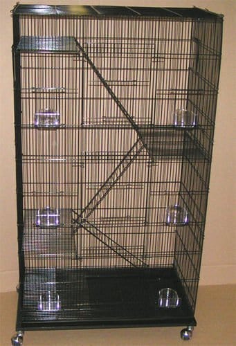 2 tier ferret cage