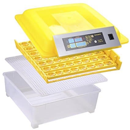 incubator for eggs ark