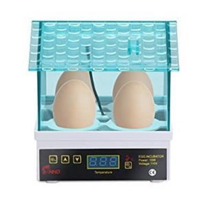 gecko egg incubator