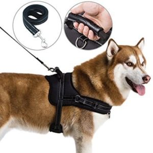 bondpaw dog harness