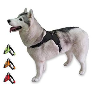 easy slip on dog harness
