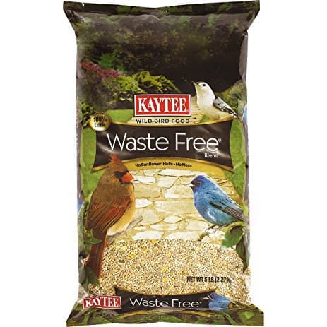 The Best Wild Bird Seed of 2020 - Pet Life Today