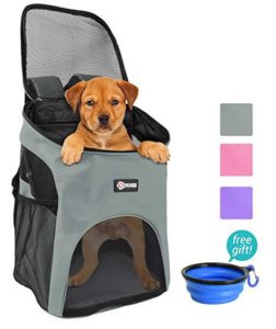dog backpack for small dogs