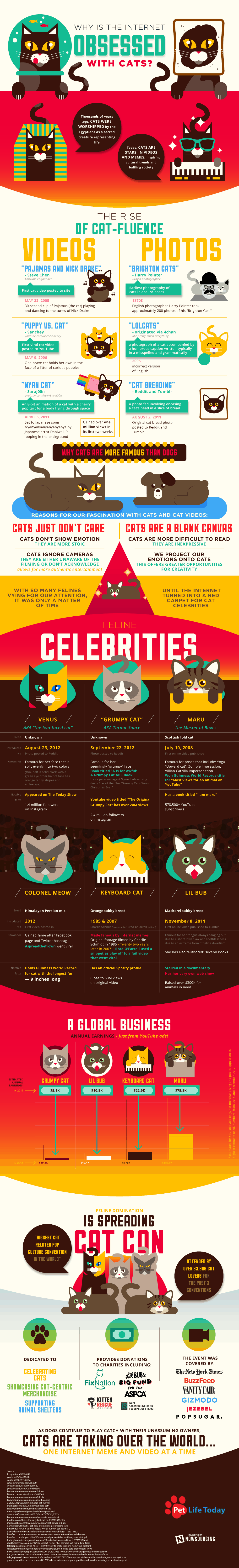 https://petlifetoday.com/wp-content/uploads/2017/12/internet-is-obsessed-with-cats-infographic.png