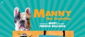 Manny The Frenchie