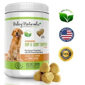 best joint support supplement for dogs