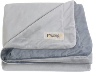 grey dog blankets