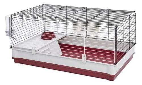 30 by 50 guinea pig cage