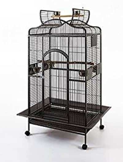 budget bird cages