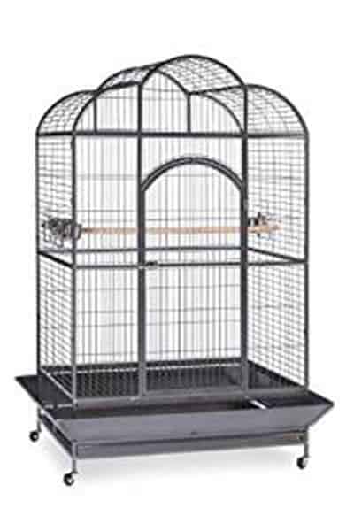 best parrot cages