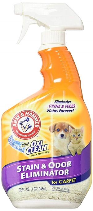 best dog pee odor remover