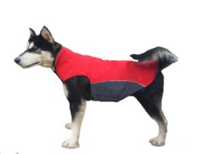 doggie coats for winter