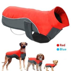 cold jacket for dogs