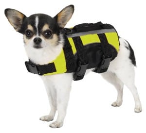 Extra-extra-small lifejacket DOG LIFE JACKET 'TINY'