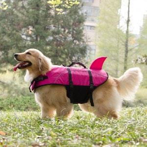 teacup dog life jacket