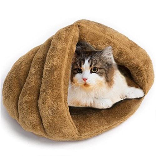 heated animal bed