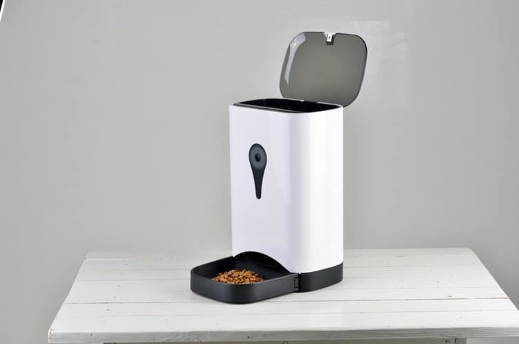 automatic dog feeder and waterer