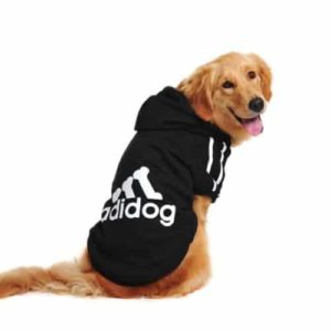 cool dog hoodies